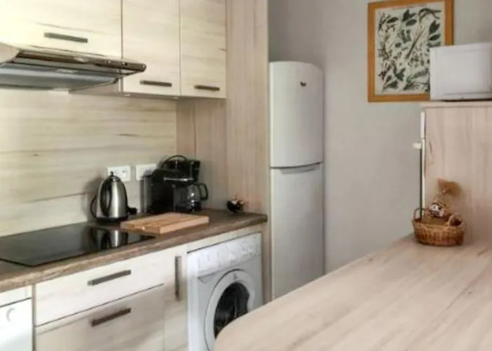 Maison Conviviale à Avec Piscine Partagée 70 M² 8 Personnes Lecci